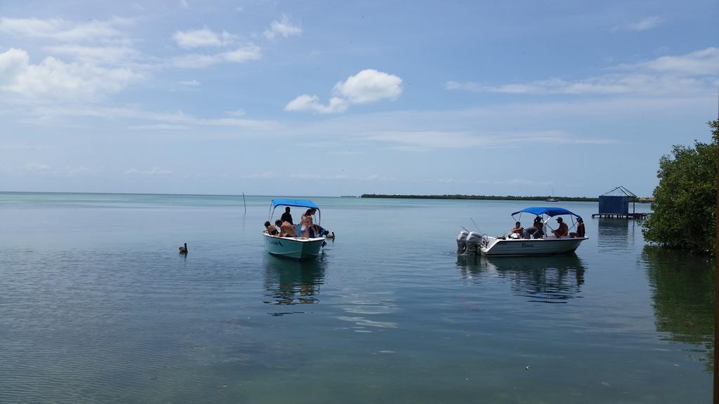 Go Slow Guesthouse Caye Caulker Ngoại thất bức ảnh